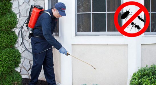 Elbeyli Hamam Böceği İlaçlama böcek ilaçlama ve haşere kontrolü — ilaclama-tr.com
